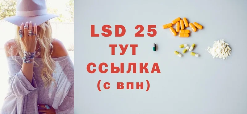 где найти   Новодвинск  LSD-25 экстази ecstasy 